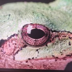 Vendora Οθόνη EIZO SX 2462W 24" FHD 1080 σε κατάσταση καινούριας -Vendora κατάστημα 0296b75a294785b3b282e4de6982adf6b6dc8a19 xl