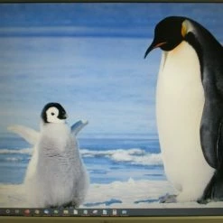 Vendora Monitor Fujitsu Siemens 19" 13 Vendora Monitor Fujitsu Siemens 19" -Vendora κατάστημα 909f8ed9182ab5d1300882678d84970afcf713ac xl